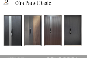 Cửa Panel Basic (32)